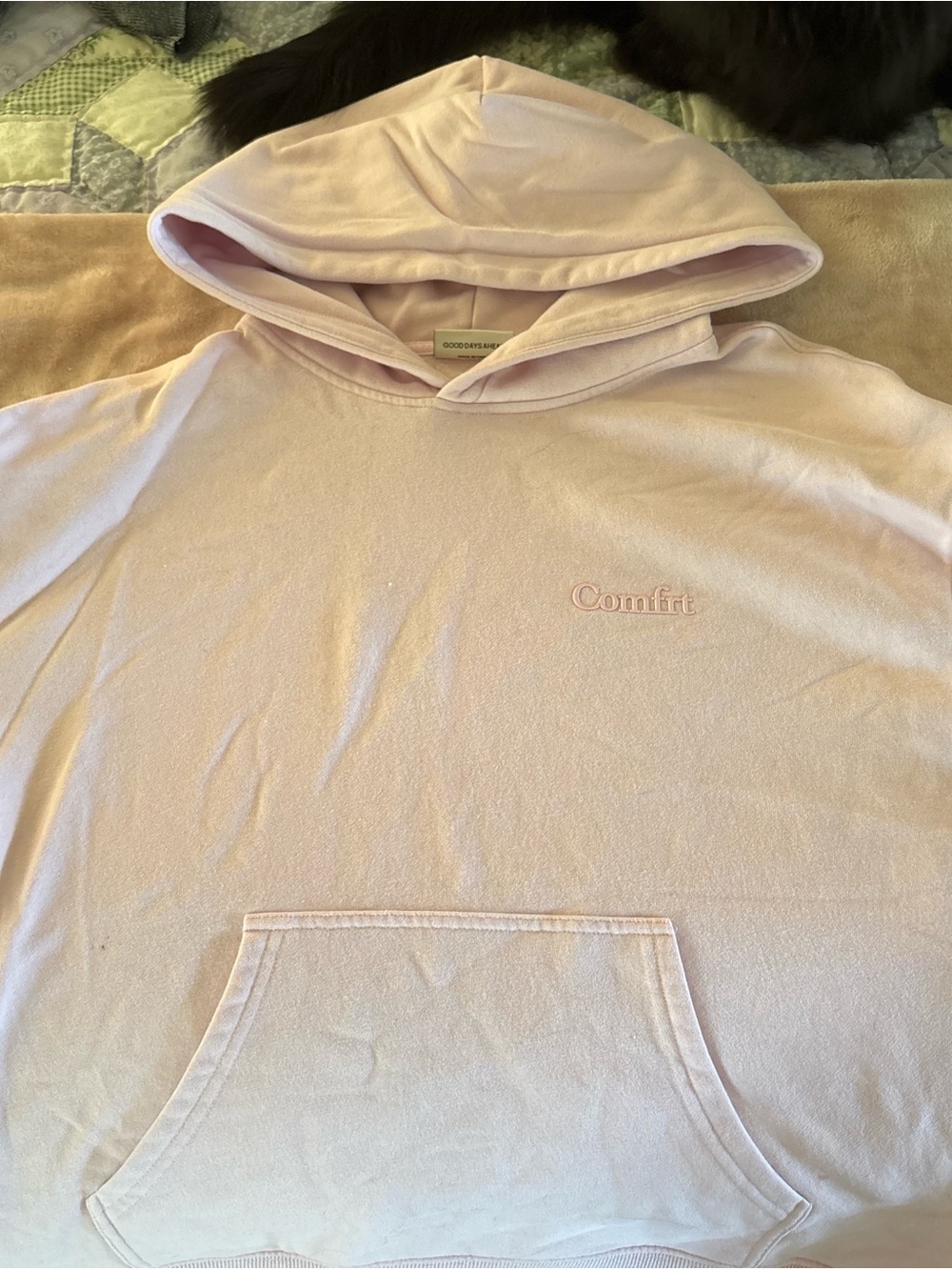 Comfort Embroidered Hoodie in Pale Pink - Women's Pullover